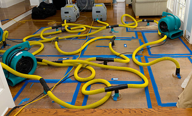 Professional Water Extraction technician working in East Quogue, NY